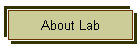 About Lab