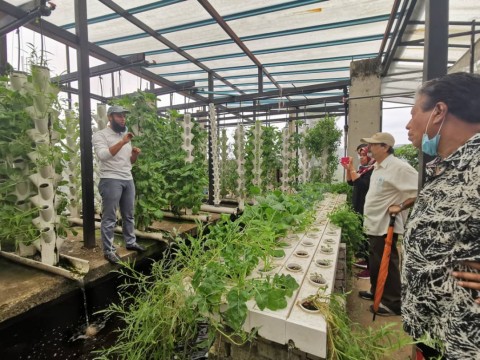 IIUM to work with ‘Urban Hijau’ to create sustainable garden