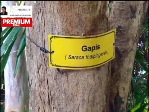 Pokok 'Gombak' jaga alam sekitar