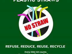 ZERO PLASTIC USAGE : AN OVERVIEW 